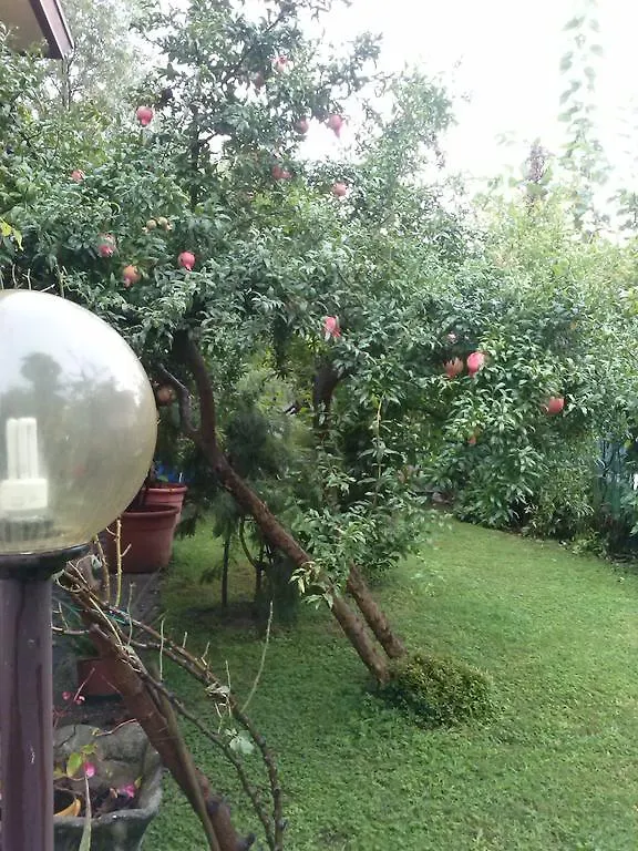 Casa Irene Bed & Breakfast Torri di Quartesolo 3*,  Italy